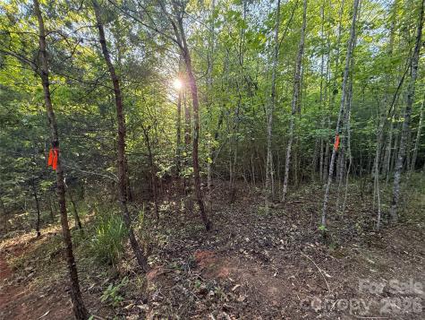 Lot # 5 West Legacy Drive Hendersonville NC 28739