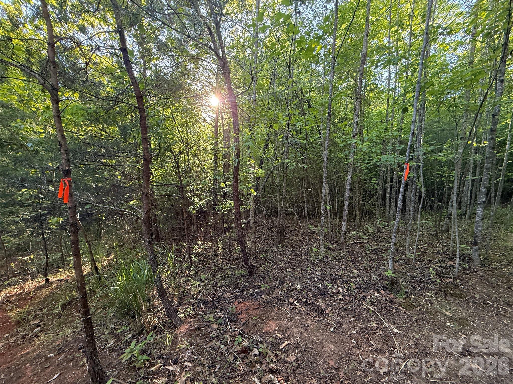 Lot # 5 West Legacy Drive Hendersonville NC 28739