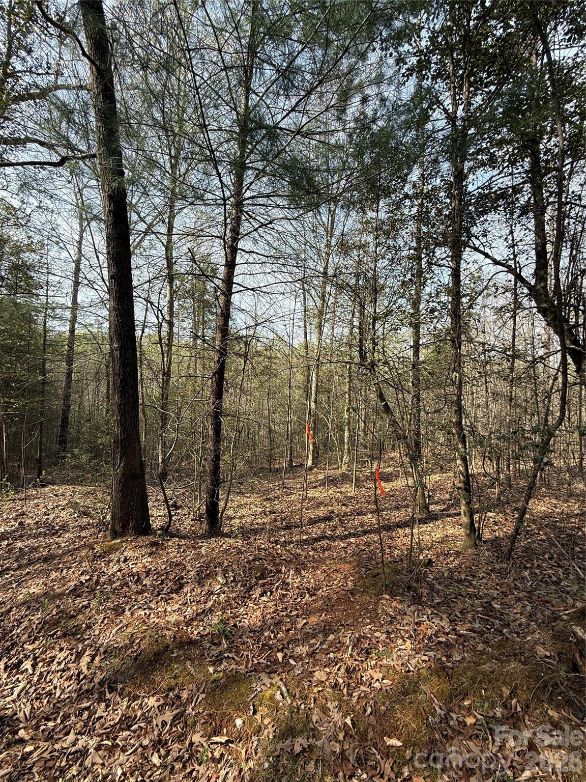Lot # 5 West Legacy Drive Hendersonville NC 28739