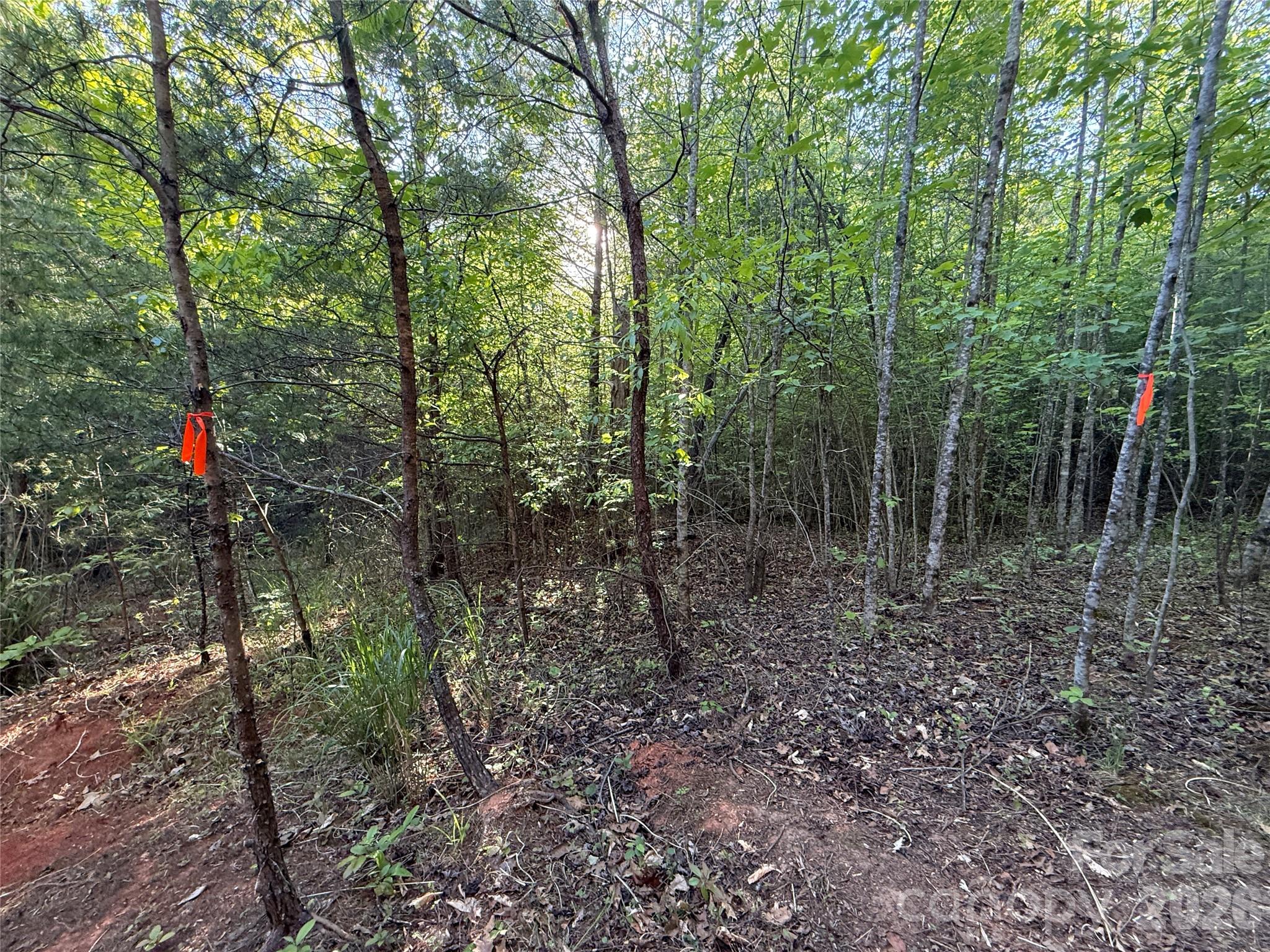 Lot # 5 West Legacy Drive Hendersonville NC 28739