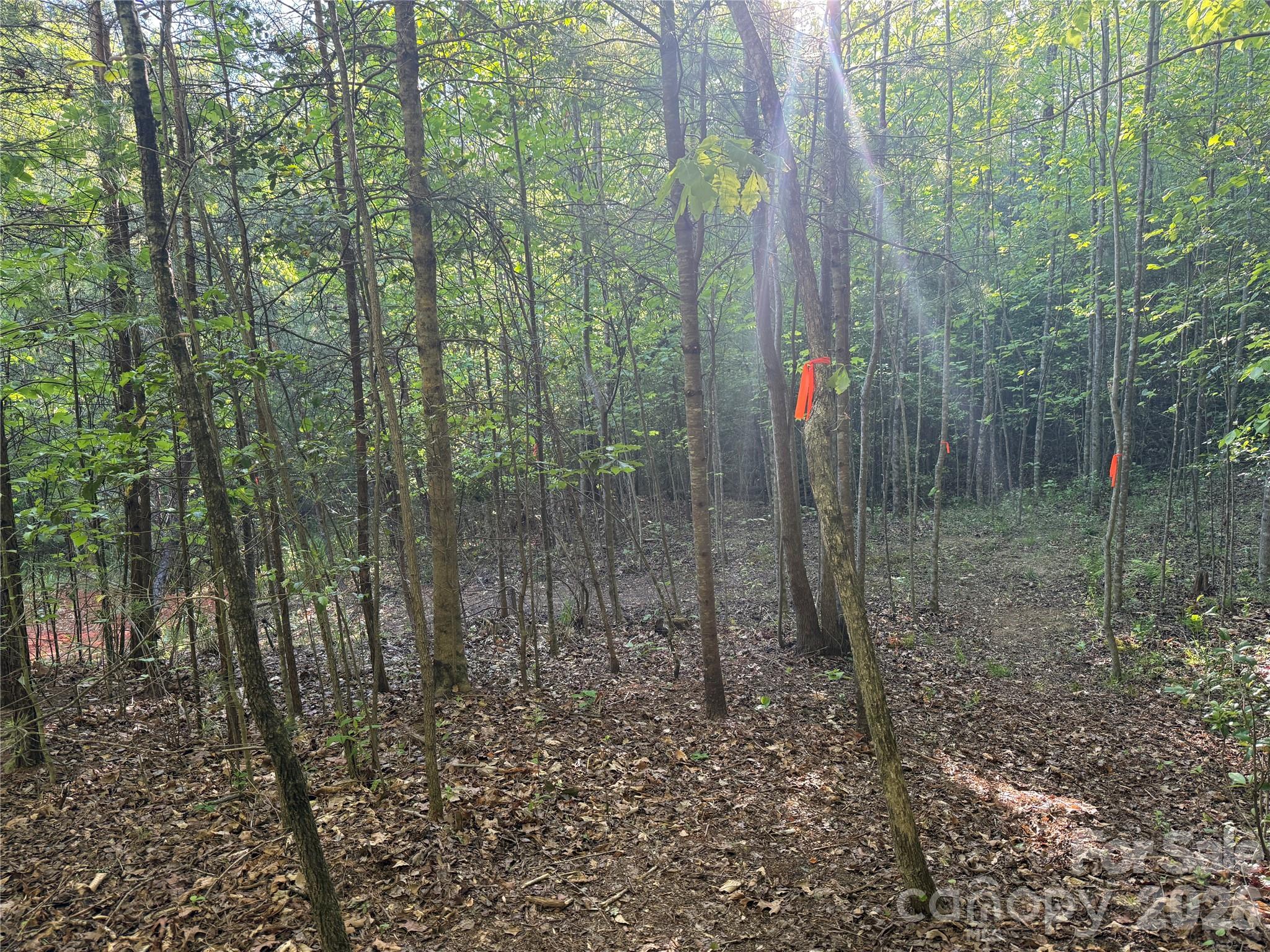 Lot # 5 West Legacy Drive Hendersonville NC 28739