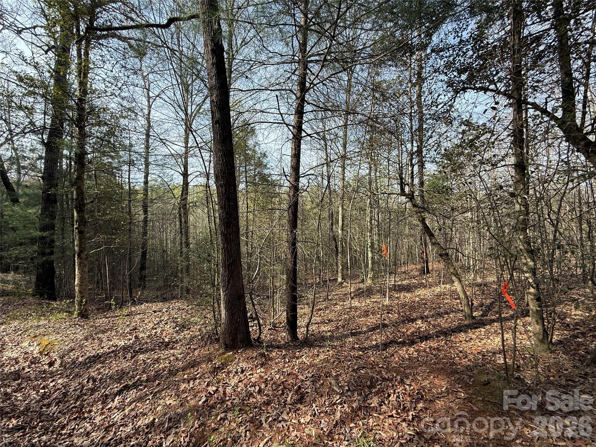 Lot # 5 West Legacy Drive Hendersonville NC 28739