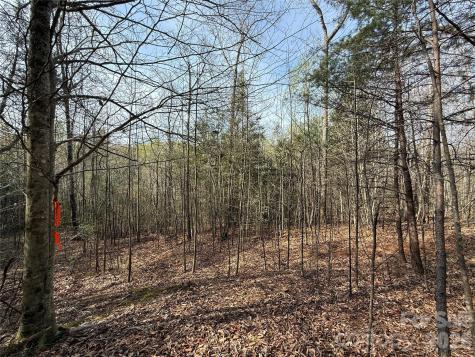 Lot # 5 West Legacy Drive Hendersonville NC 28739
