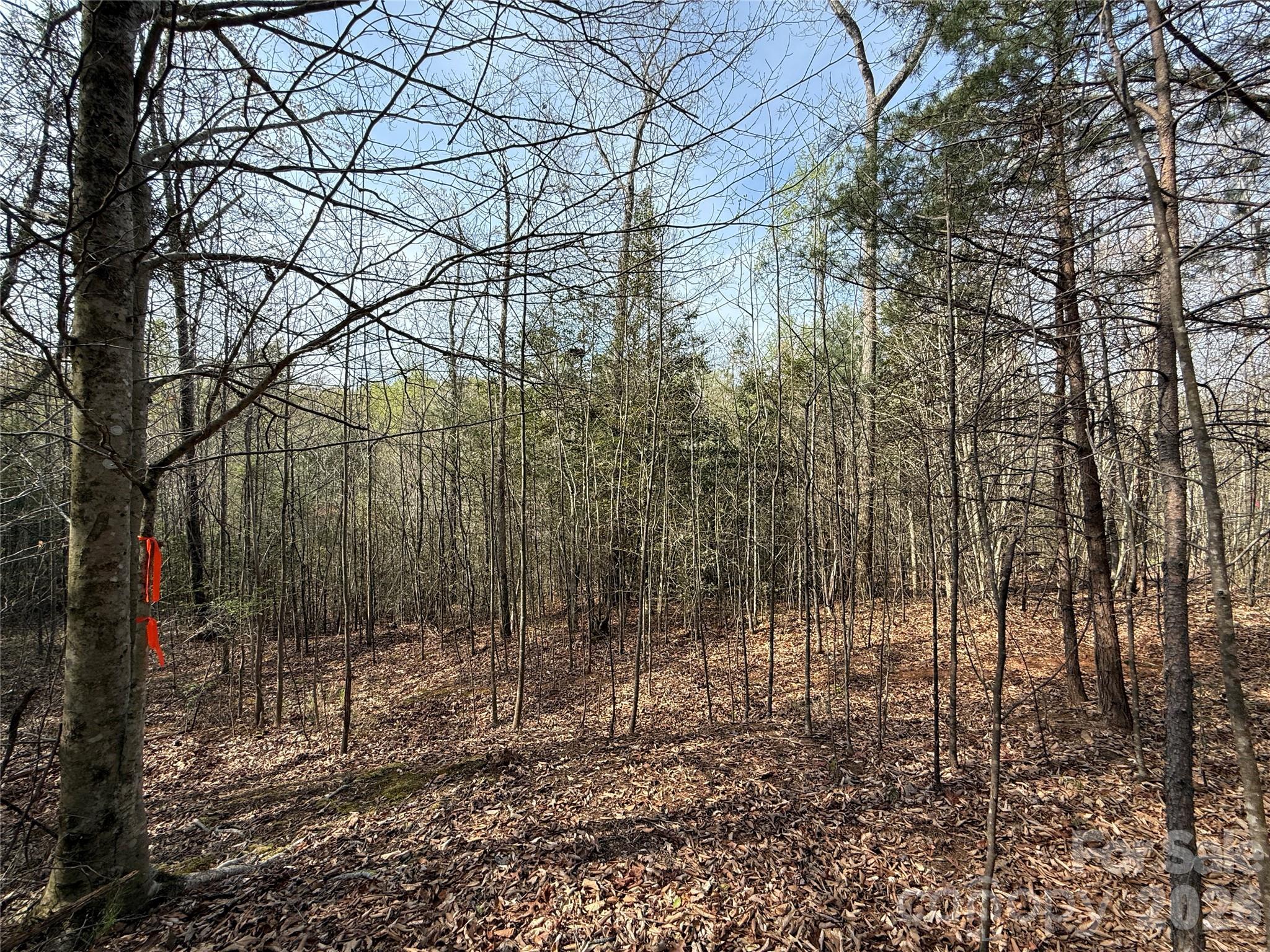 Lot # 5 West Legacy Drive Hendersonville NC 28739