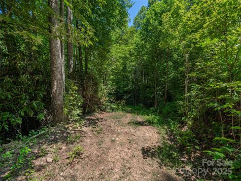 Lot B10 Rockmont Road Waynesville NC 28785