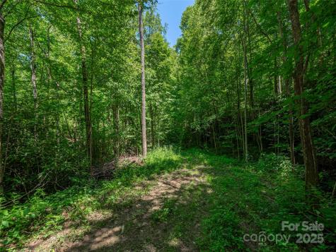 Lot B10 Rockmont Road Waynesville NC 28785