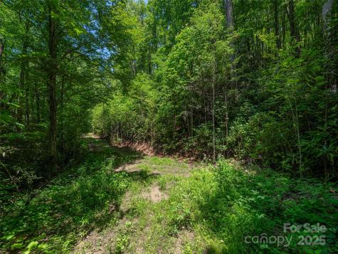 Lot B10 Rockmont Road Waynesville NC 28785