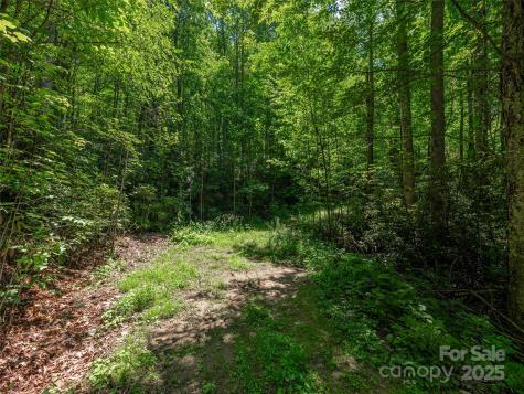 Lot B10 Rockmont Road Waynesville NC 28785
