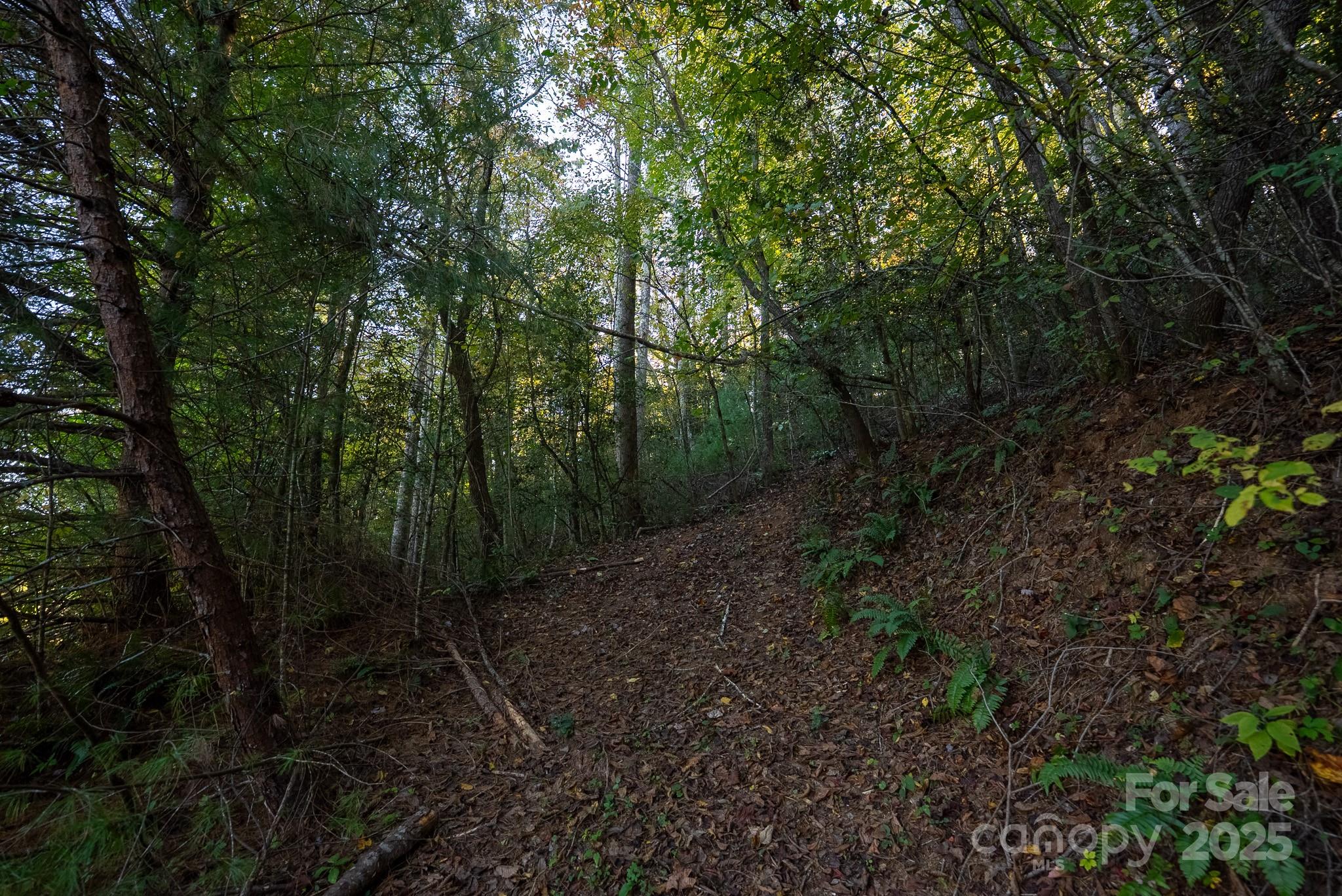 00 Shell Creek Road Ferguson NC 28624