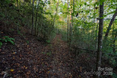 00 Shell Creek Road Ferguson NC 28624