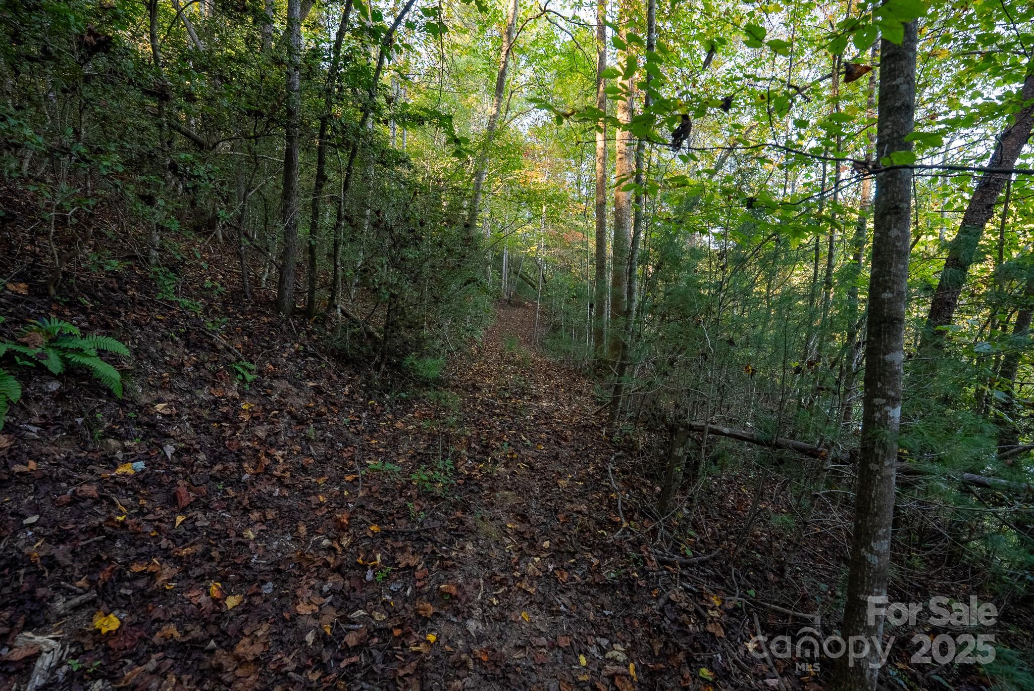 00 Shell Creek Road Ferguson NC 28624