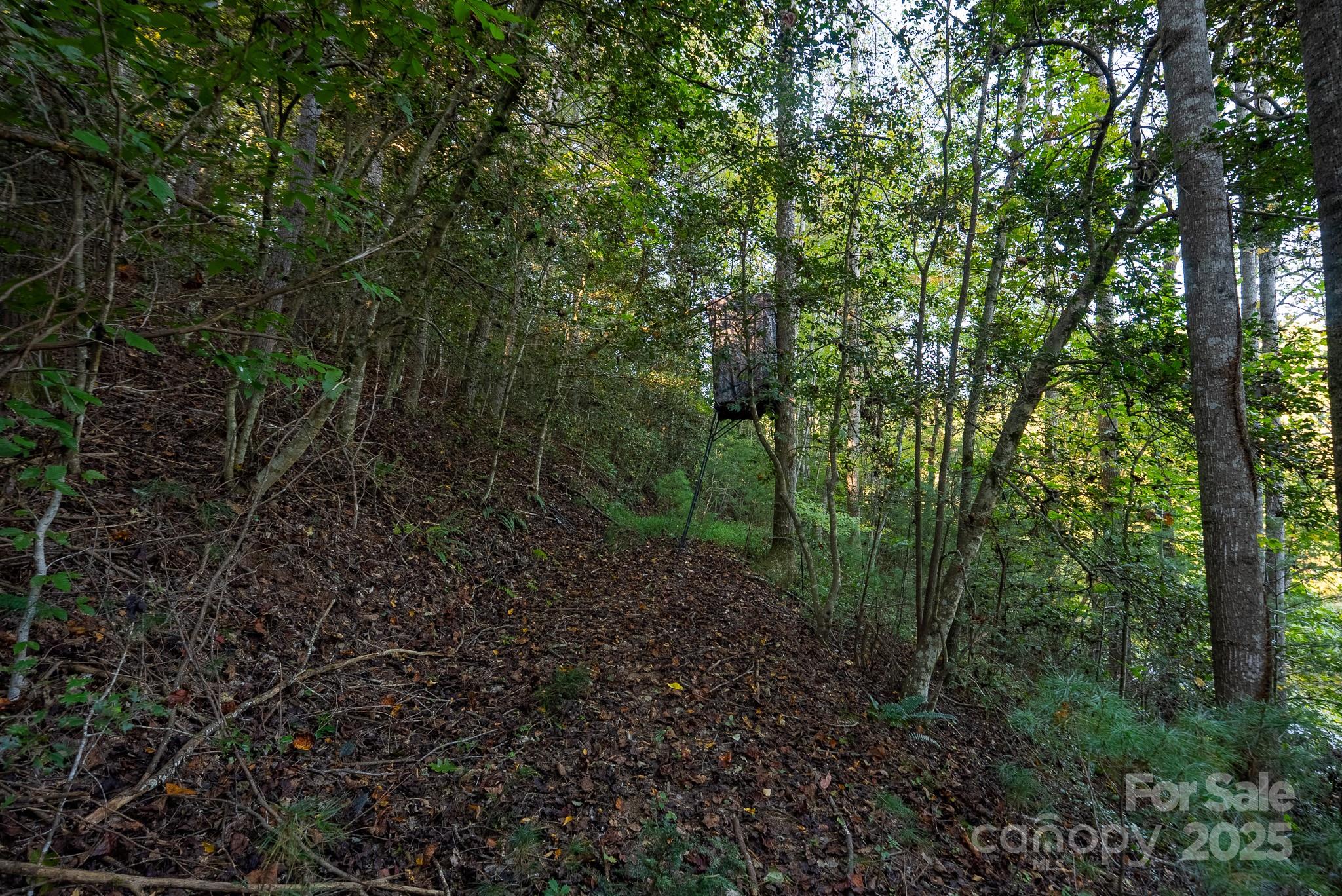 00 Shell Creek Road Ferguson NC 28624
