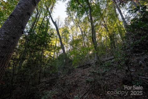 00 Shell Creek Road Ferguson NC 28624
