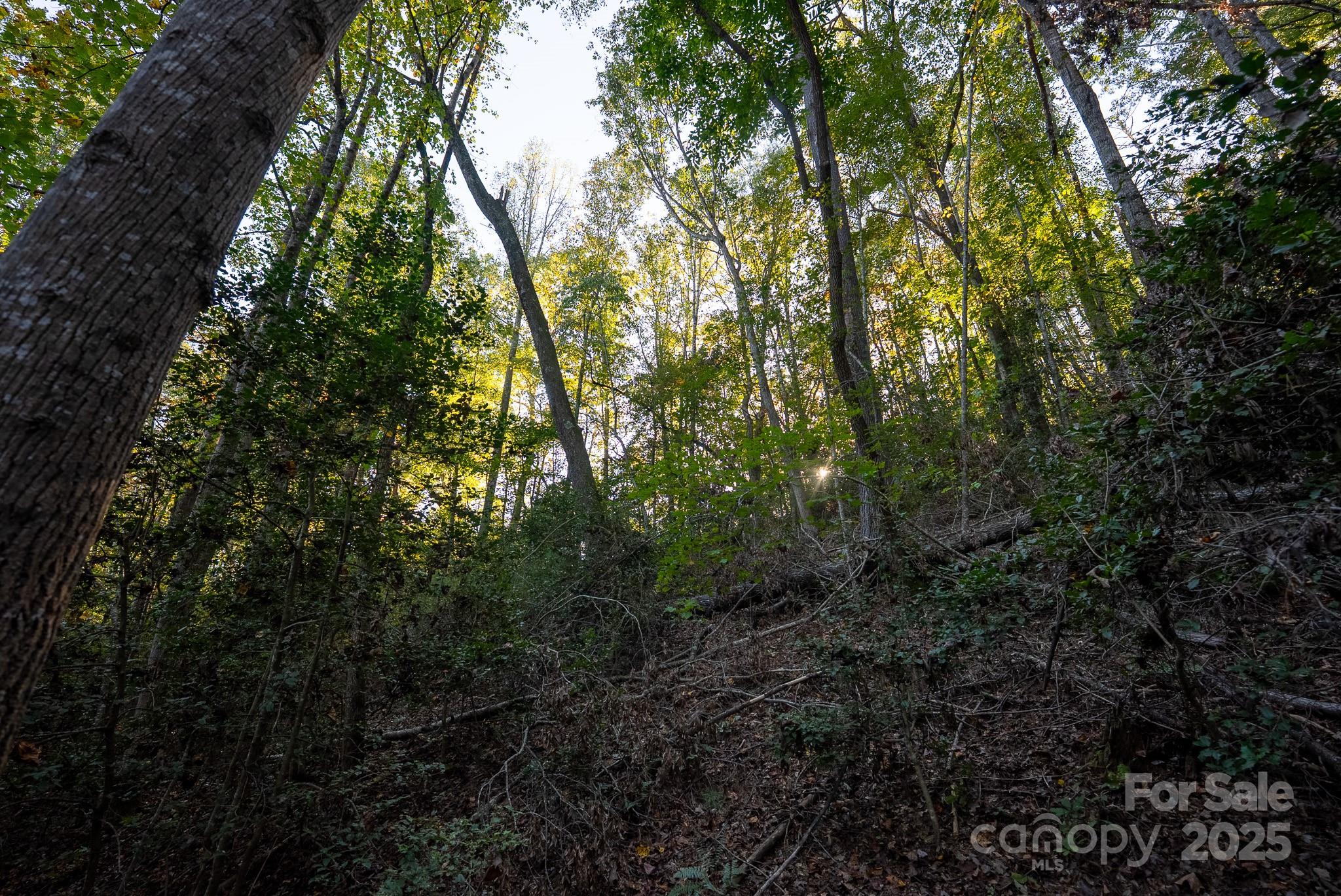 00 Shell Creek Road Ferguson NC 28624