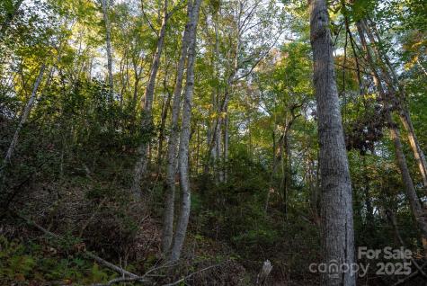 00 Shell Creek Road Ferguson NC 28624