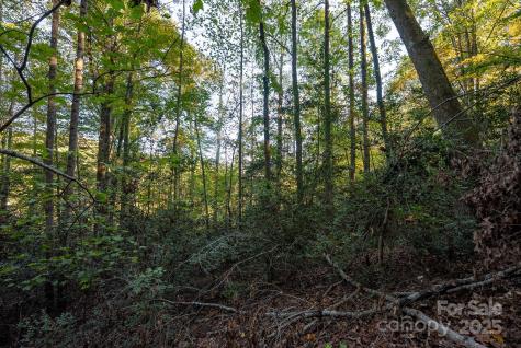 00 Shell Creek Road Ferguson NC 28624