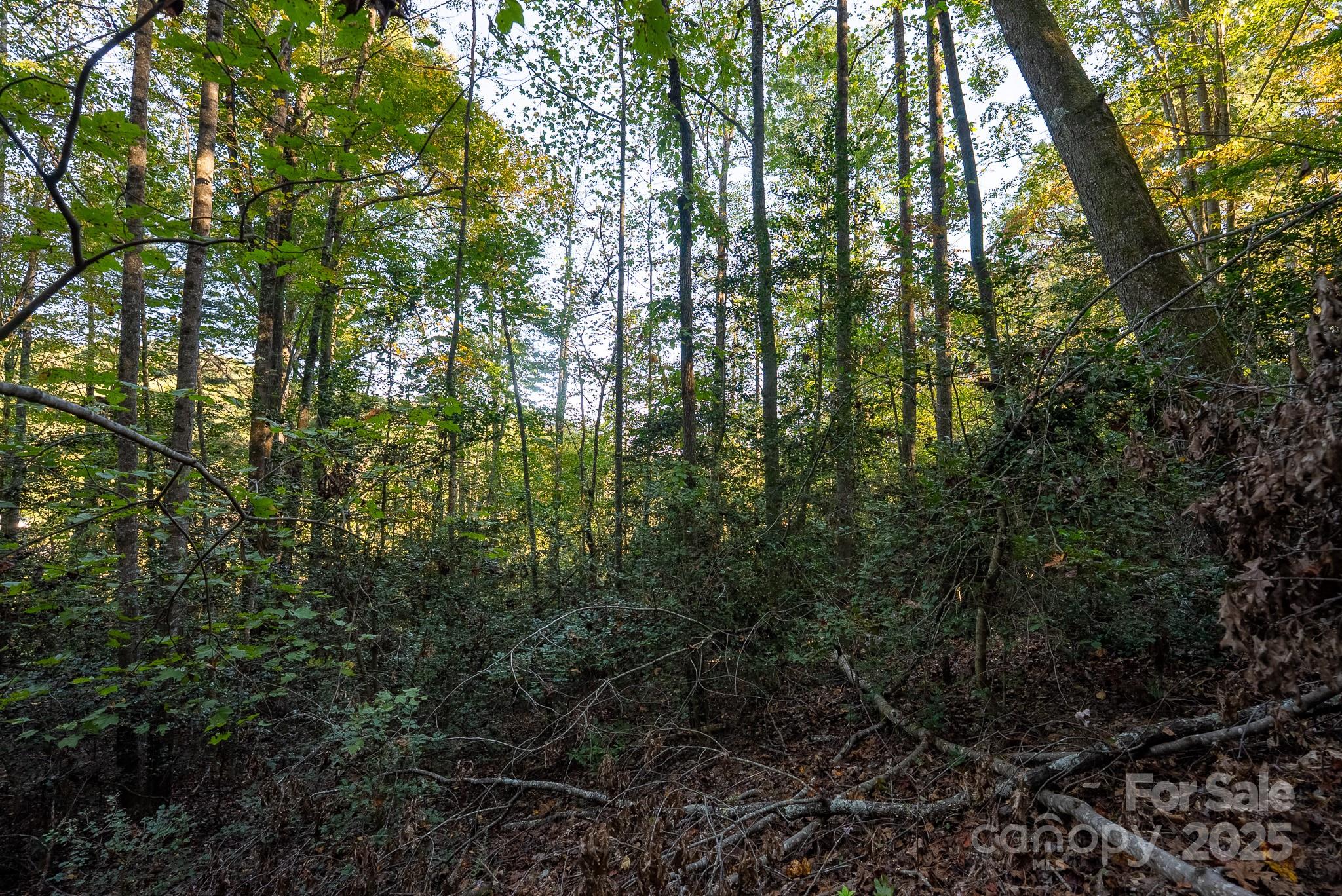 00 Shell Creek Road Ferguson NC 28624