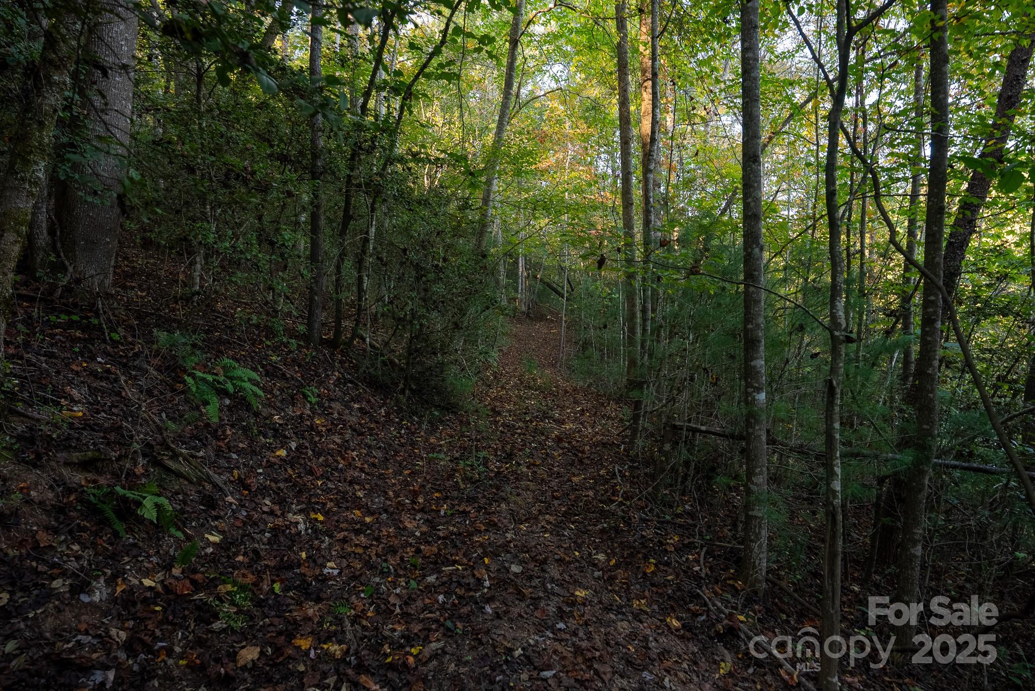 00 Shell Creek Road Ferguson NC 28624