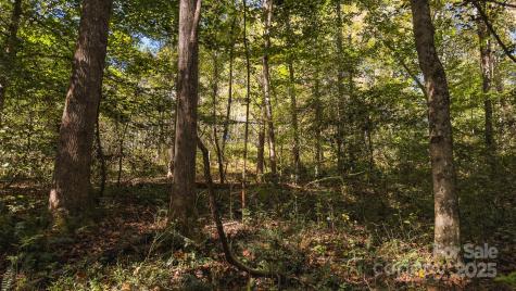 00 Shell Creek Road Ferguson NC 28624