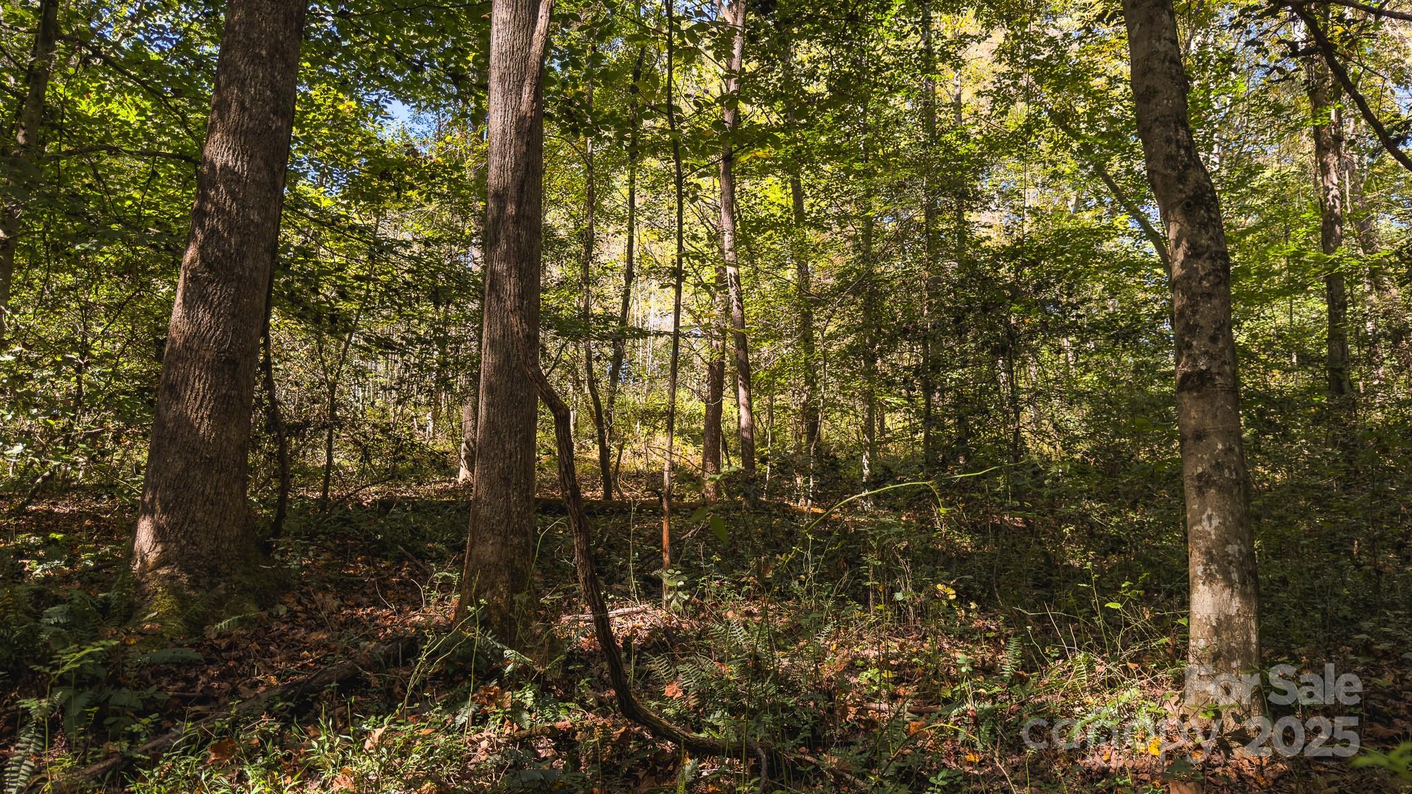 00 Shell Creek Road Ferguson NC 28624