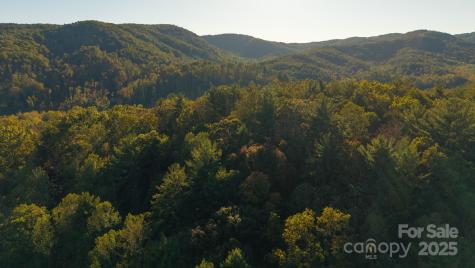 00 Shell Creek Road Ferguson NC 28624