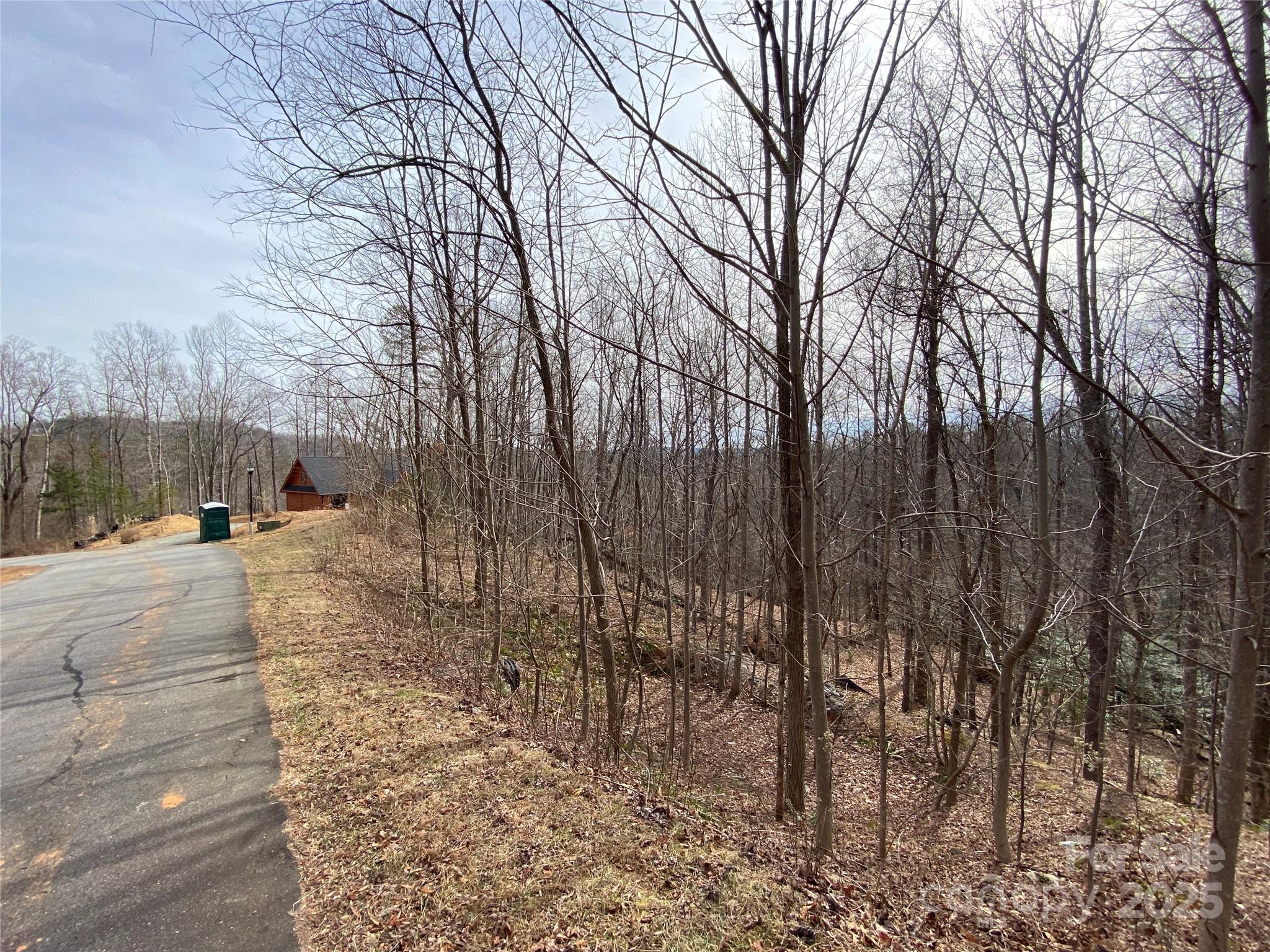 46 Holmstead Drive Lake Lure NC 28746