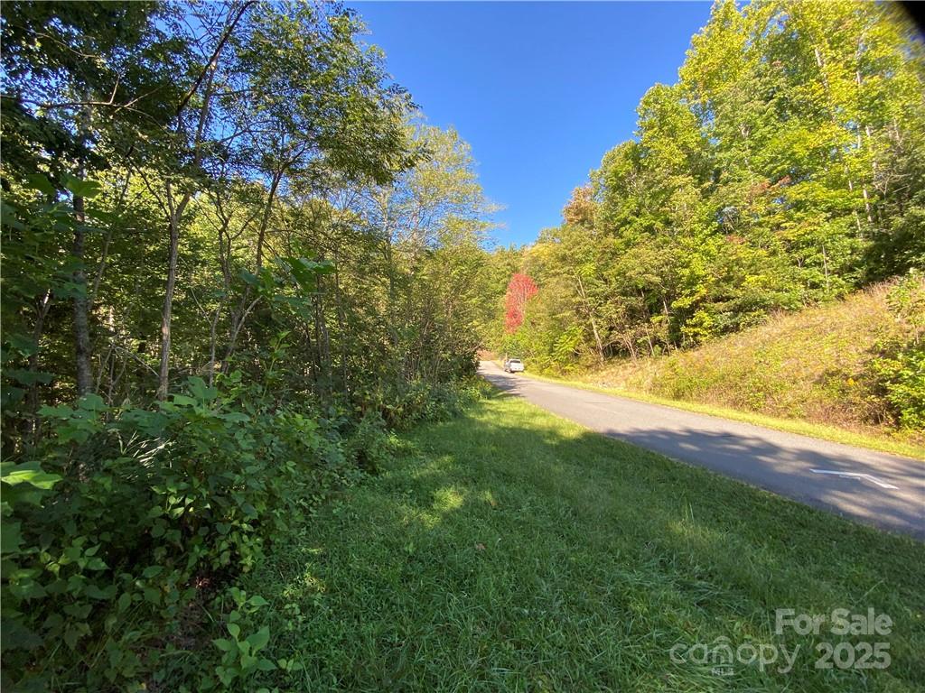 46 Holmstead Drive Lake Lure NC 28746