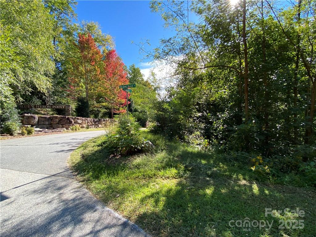 46 Holmstead Drive Lake Lure NC 28746