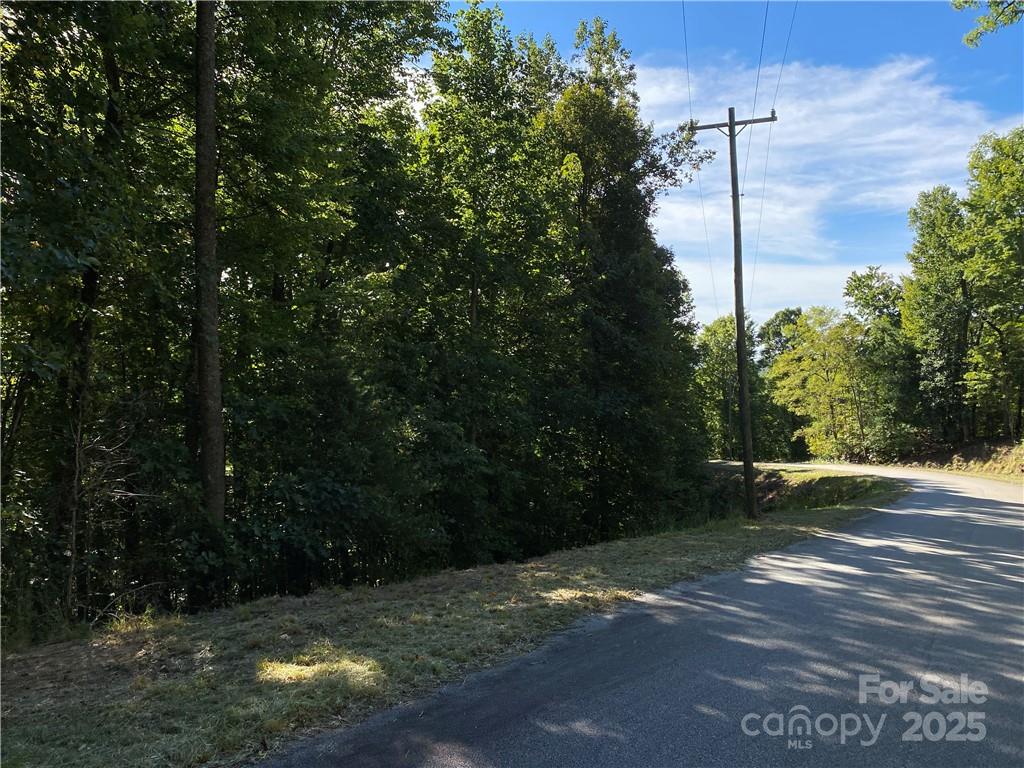 46 Holmstead Drive Lake Lure NC 28746