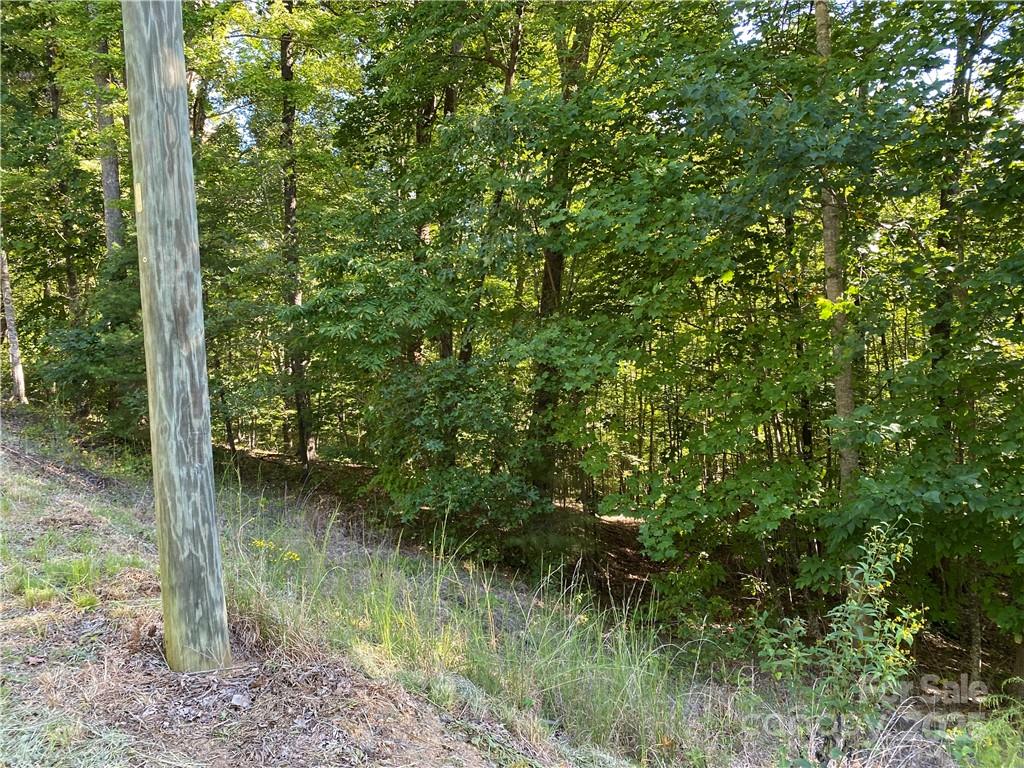 46 Holmstead Drive Lake Lure NC 28746