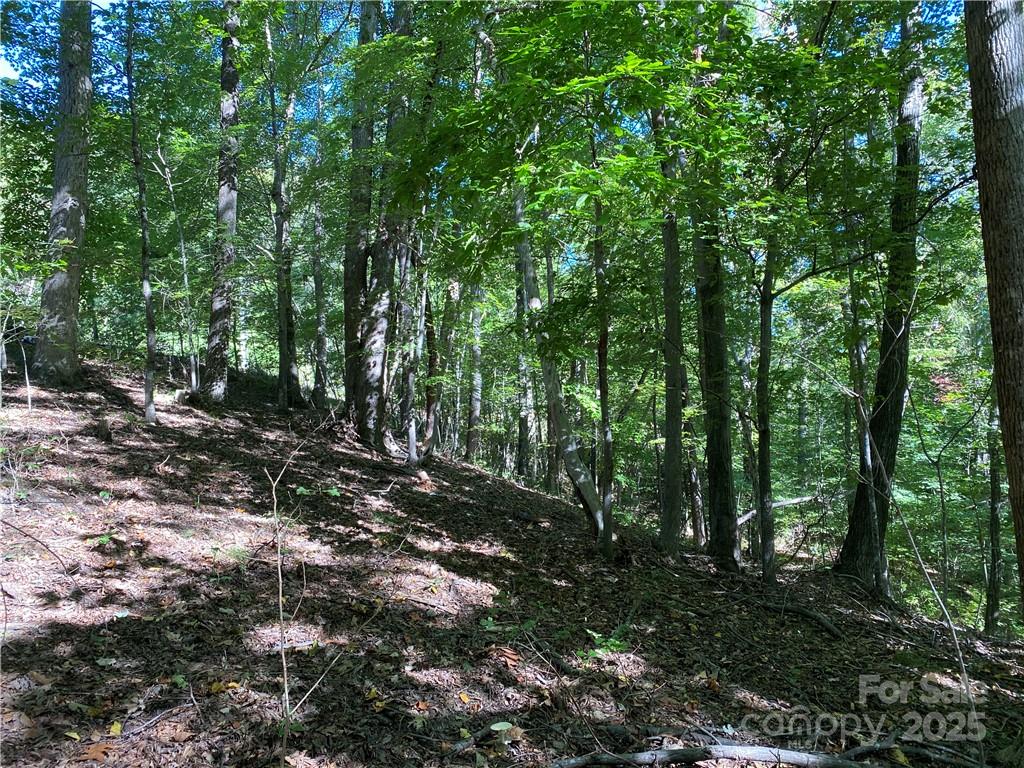 46 Holmstead Drive Lake Lure NC 28746