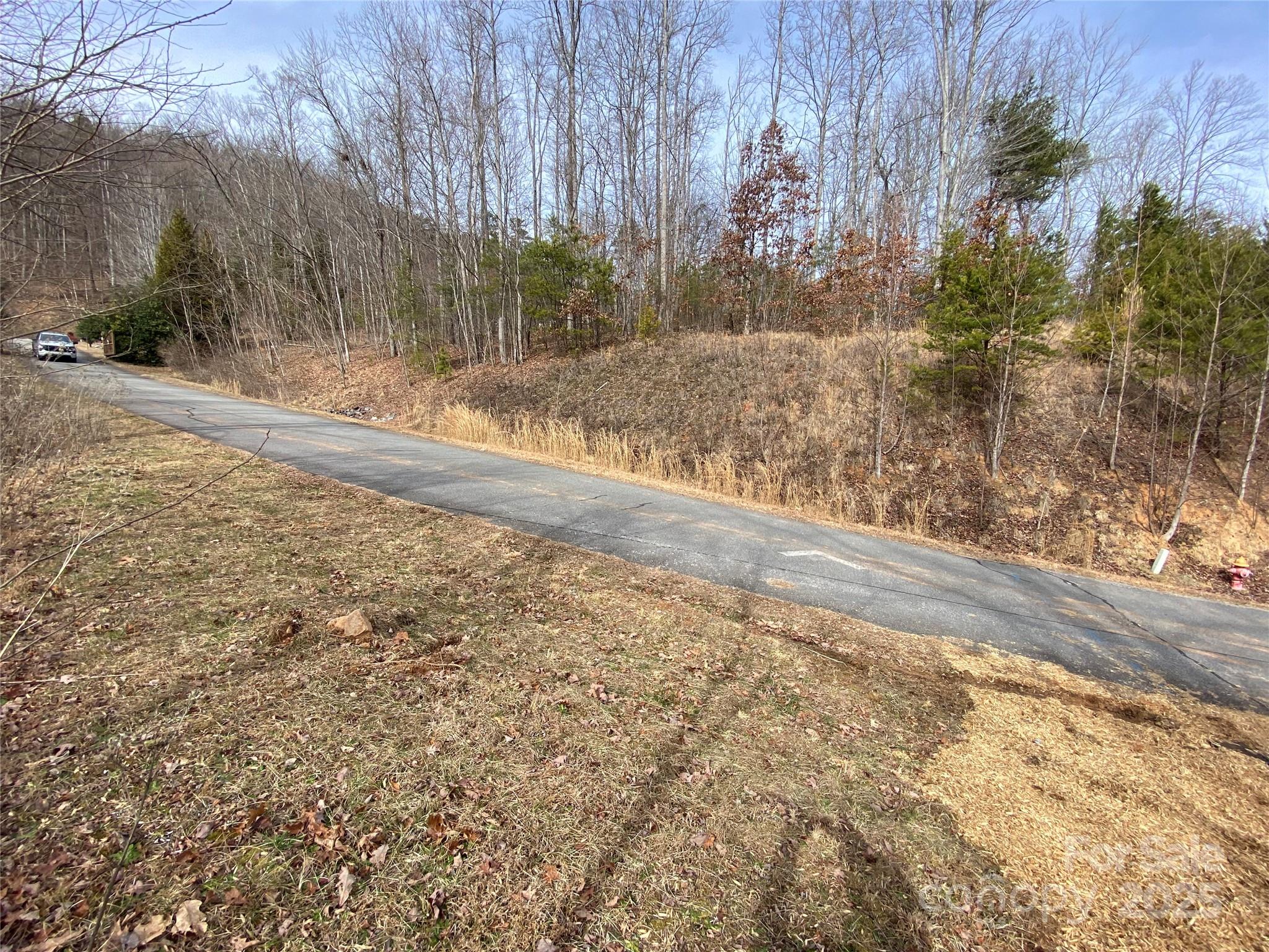 46 Holmstead Drive Lake Lure NC 28746