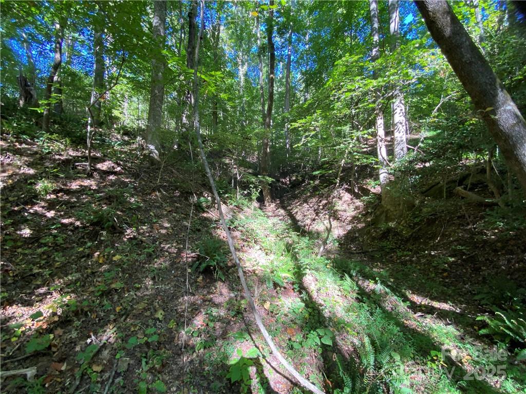 46 Holmstead Drive Lake Lure NC 28746