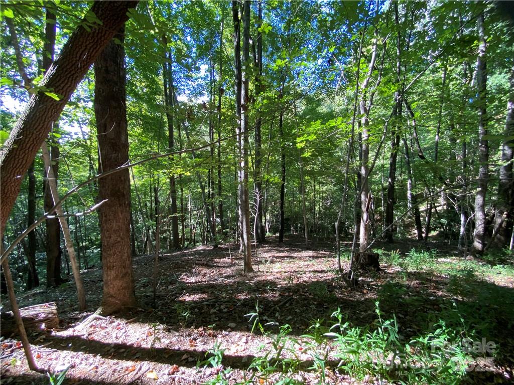 46 Holmstead Drive Lake Lure NC 28746