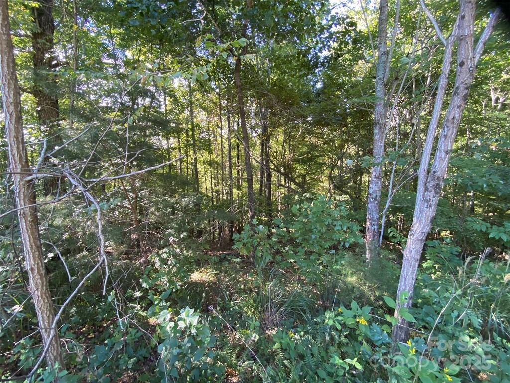 46 Holmstead Drive Lake Lure NC 28746