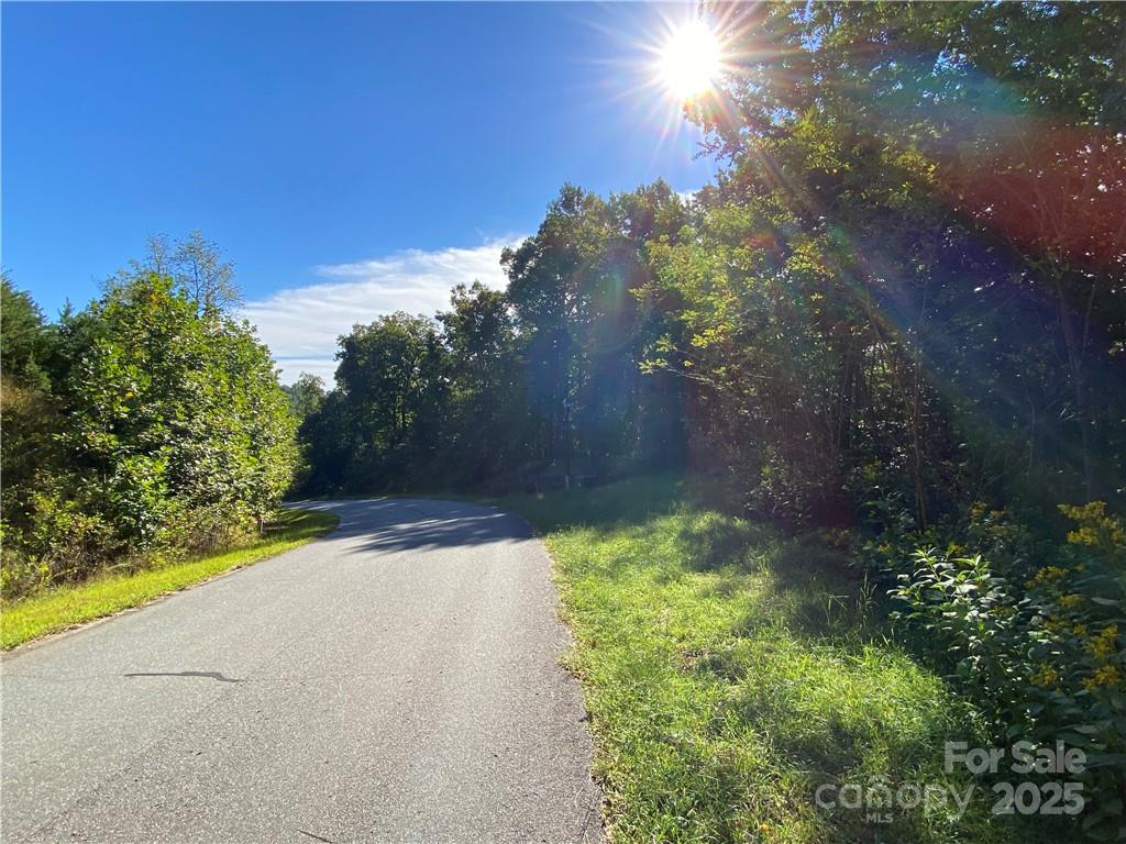 46 Holmstead Drive Lake Lure NC 28746