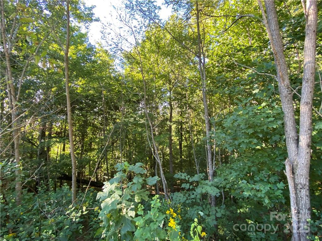 46 Holmstead Drive Lake Lure NC 28746
