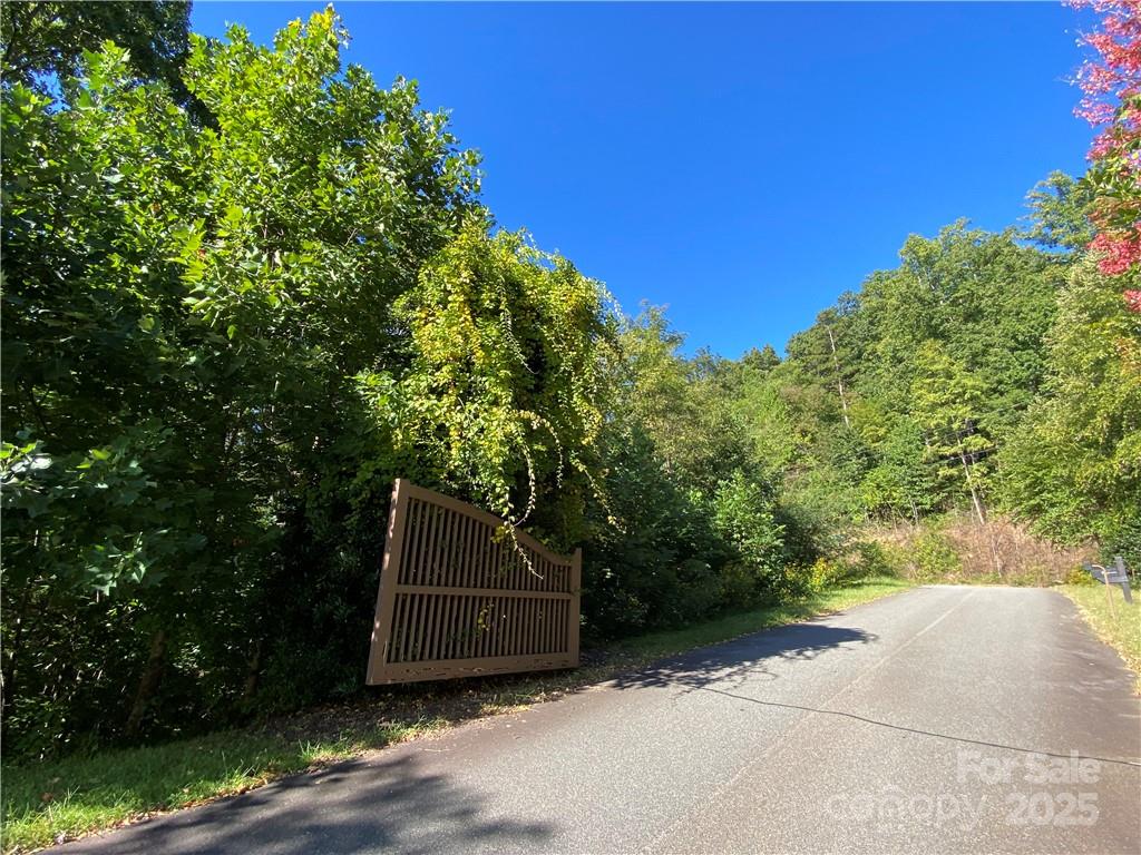 46 Holmstead Drive Lake Lure NC 28746