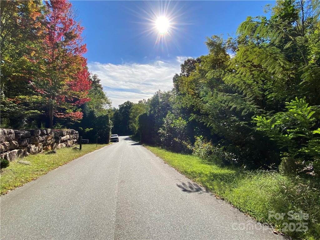 46 Holmstead Drive Lake Lure NC 28746