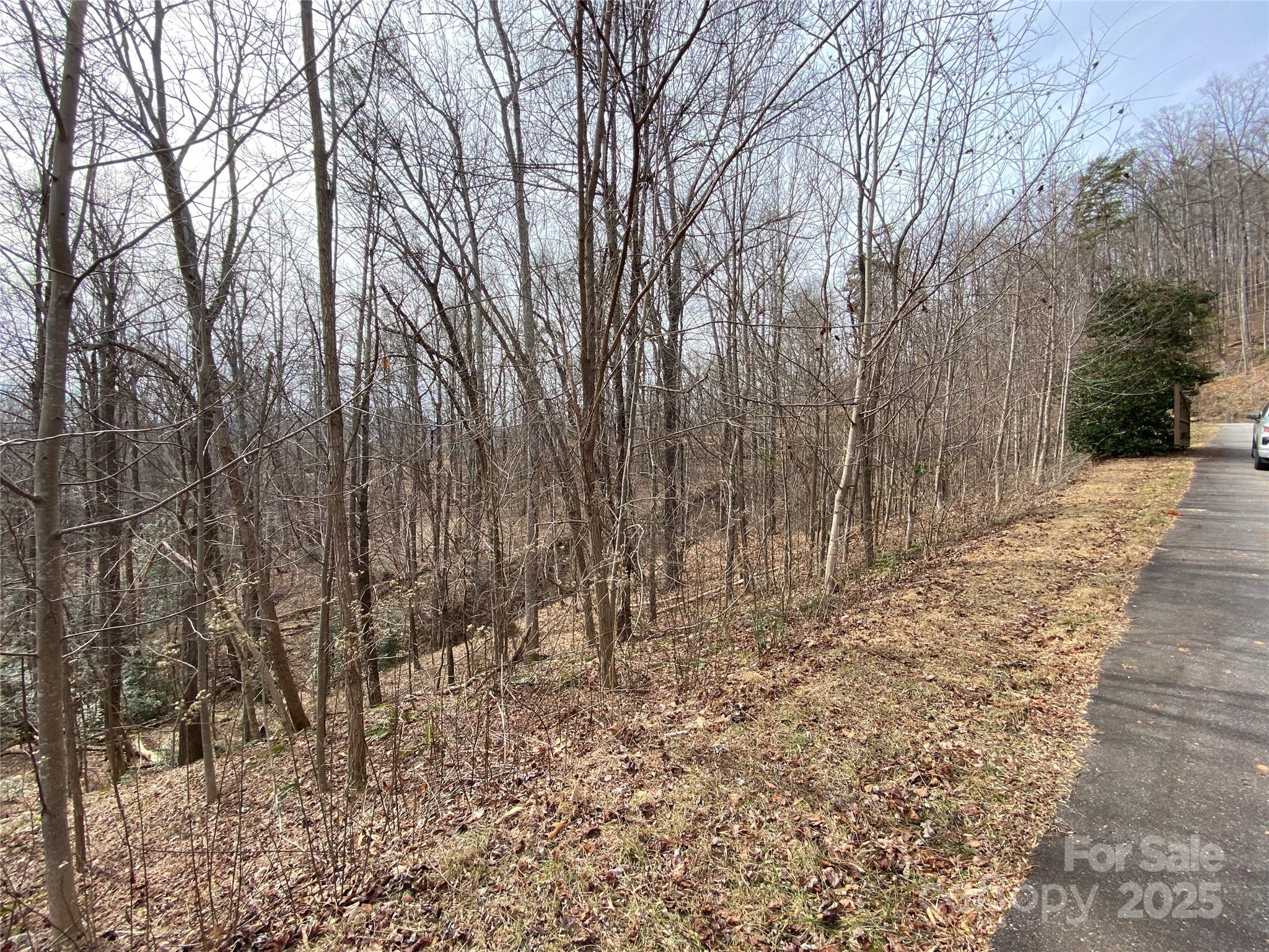 46 Holmstead Drive Lake Lure NC 28746