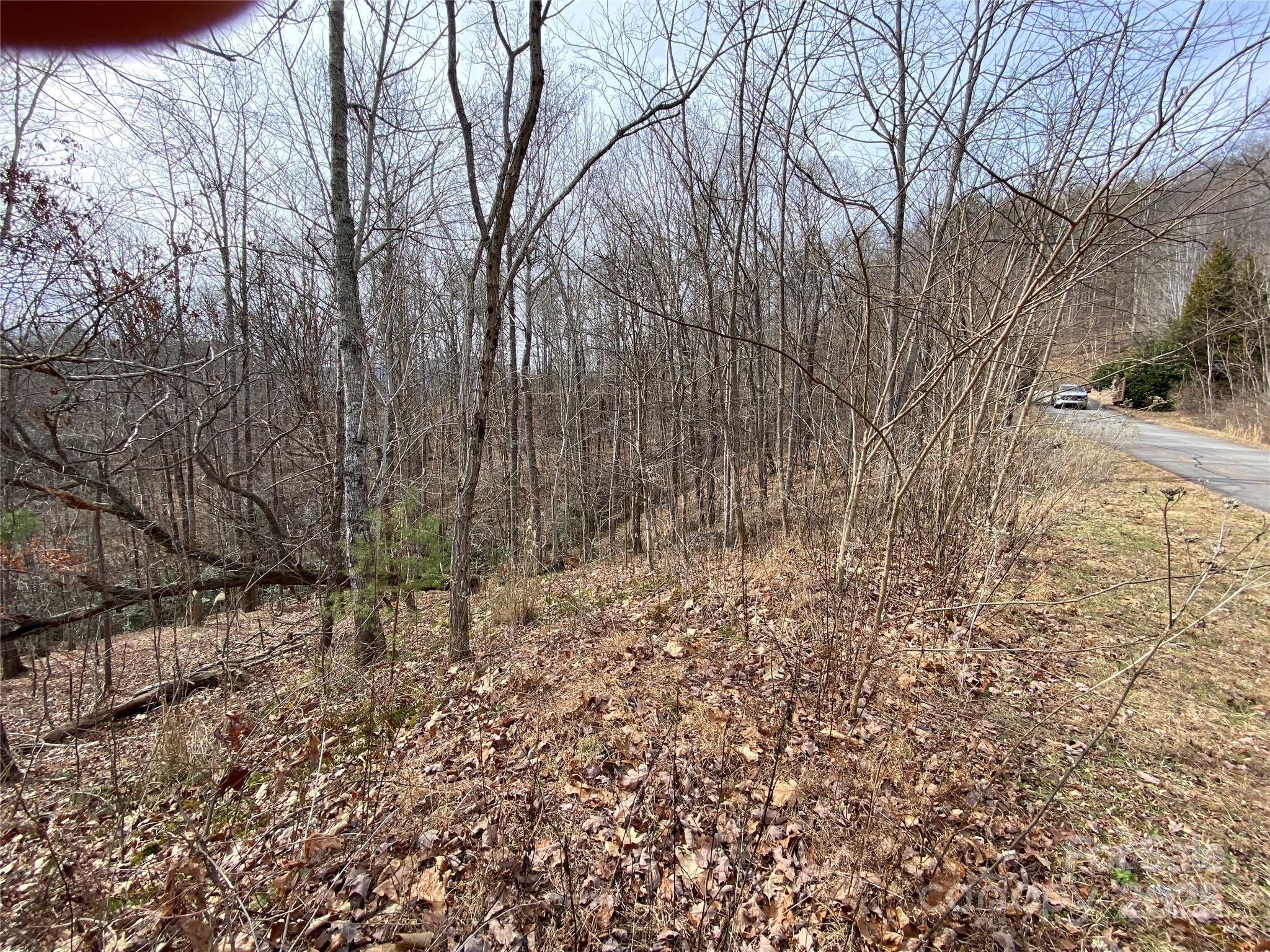 46 Holmstead Drive Lake Lure NC 28746