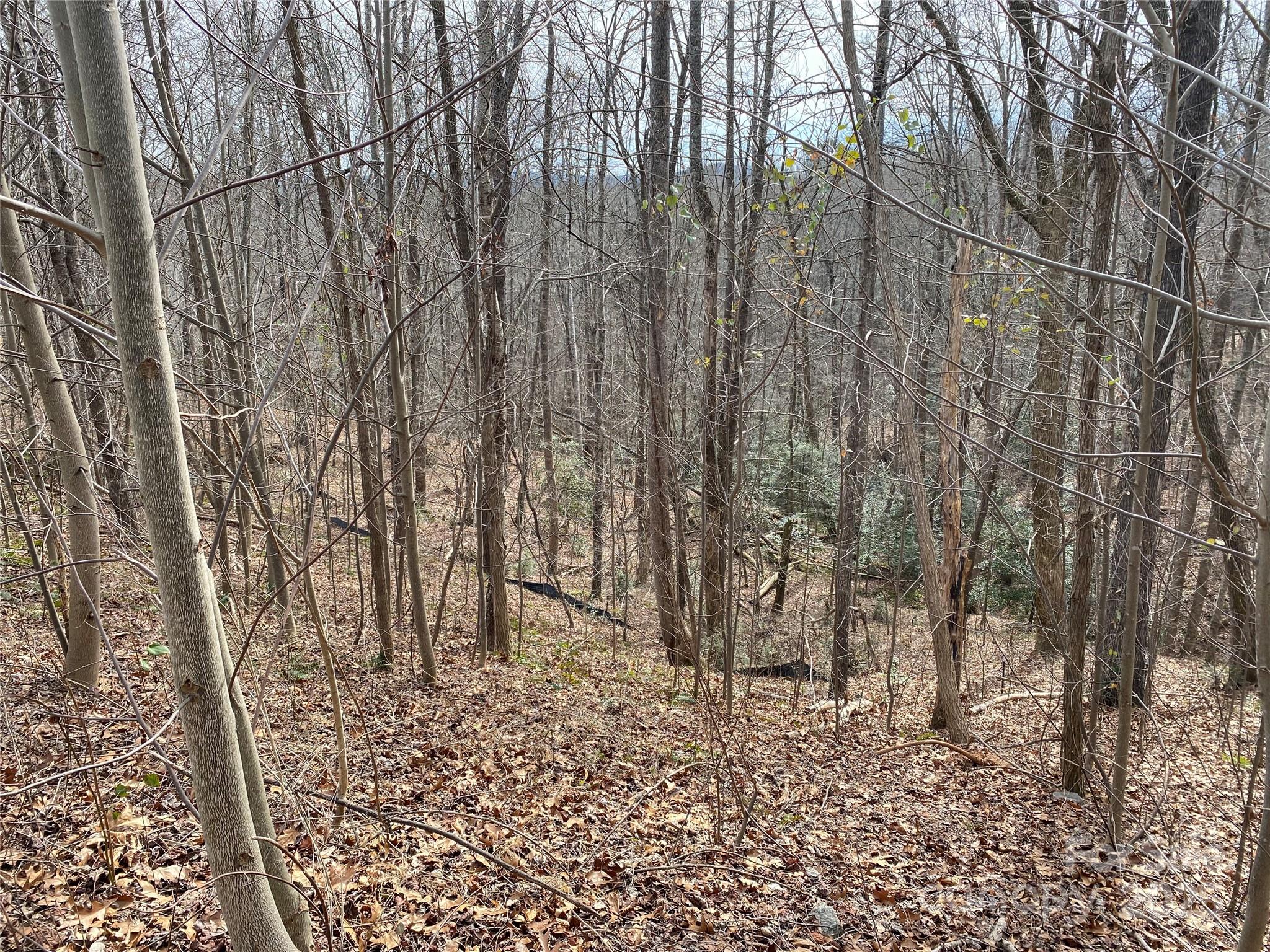 46 Holmstead Drive Lake Lure NC 28746