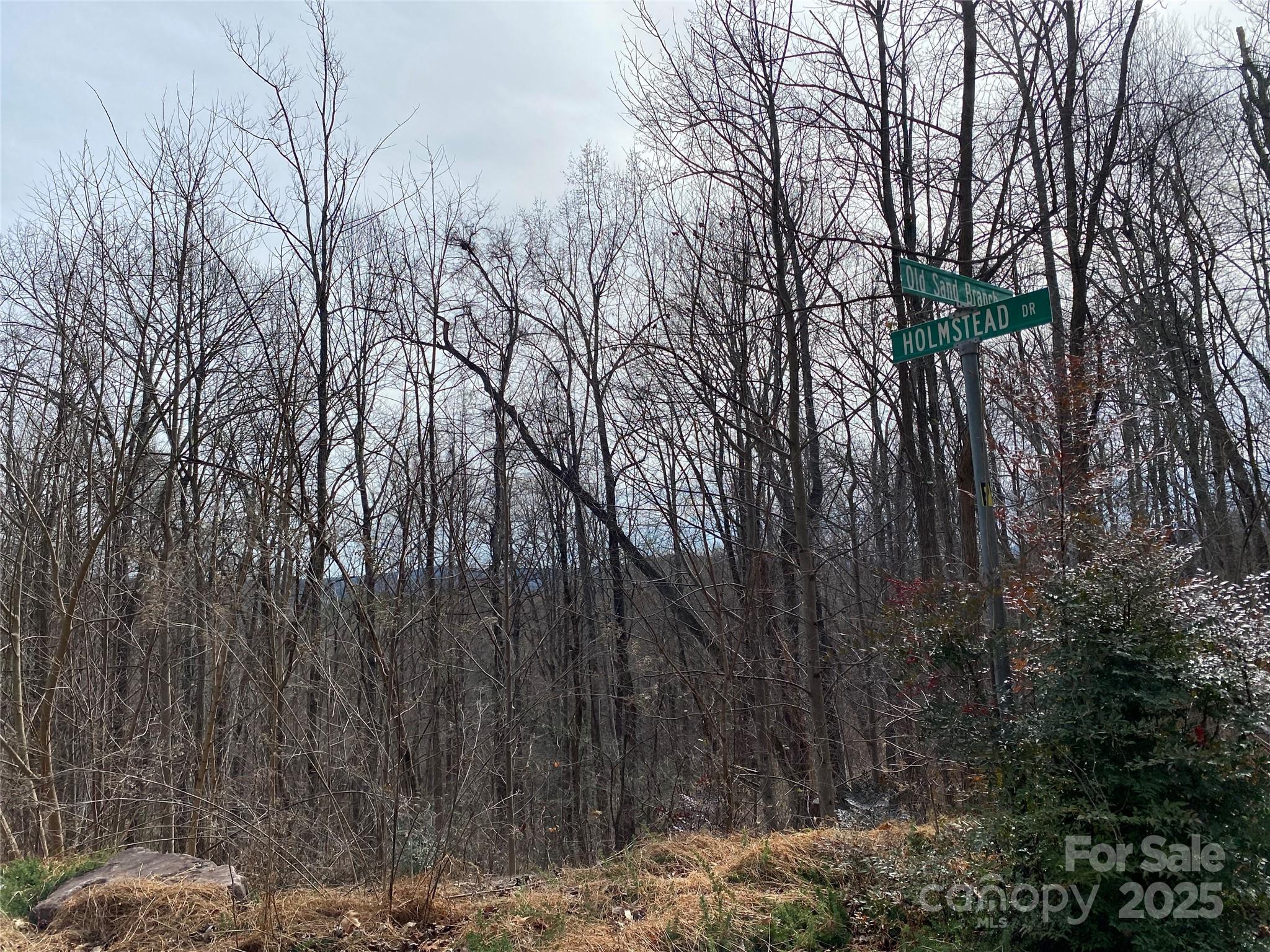 46 Holmstead Drive Lake Lure NC 28746