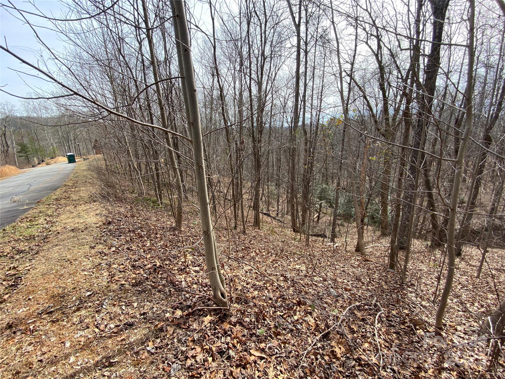 46 Holmstead Drive Lake Lure NC 28746