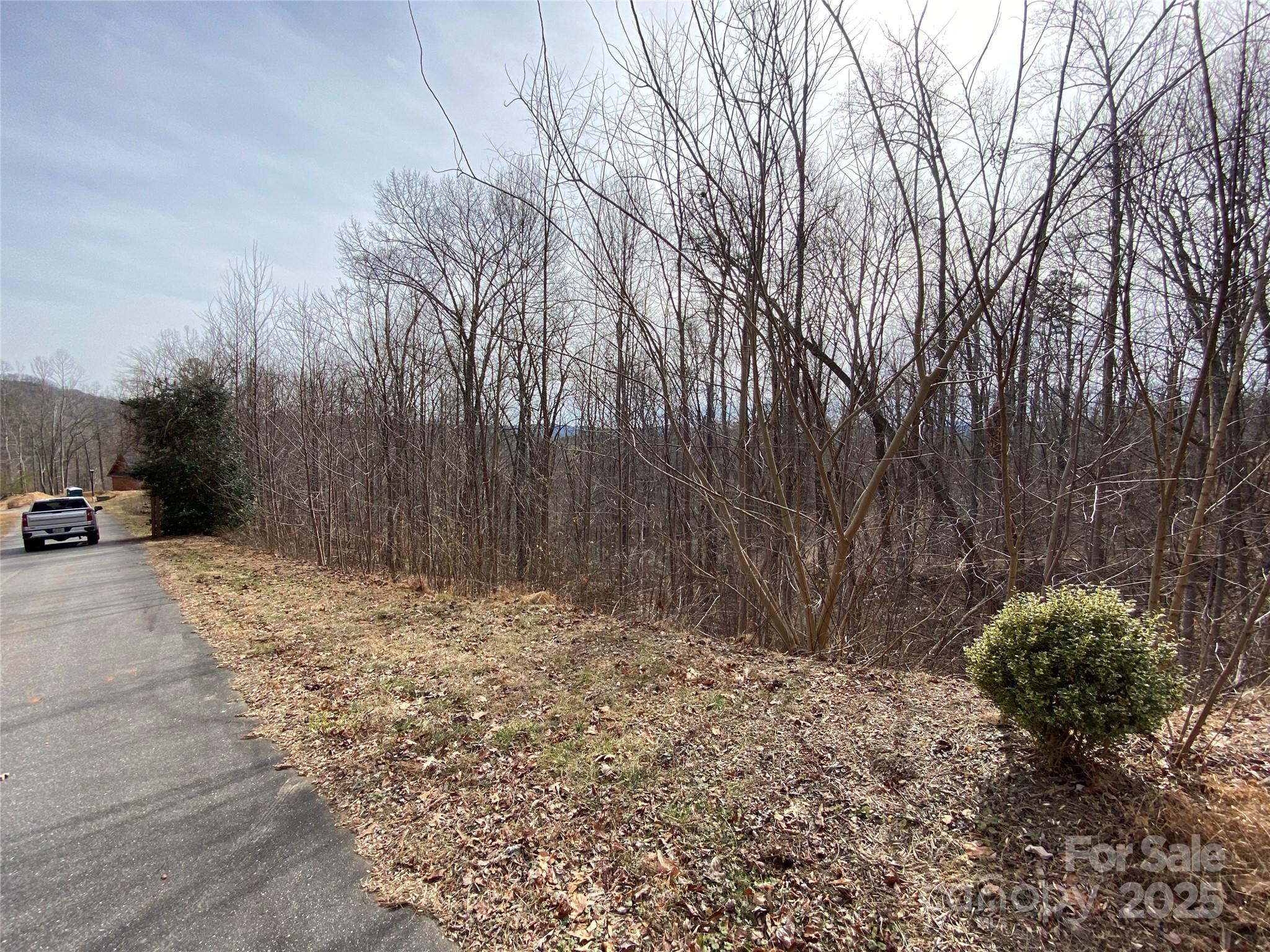 46 Holmstead Drive Lake Lure NC 28746