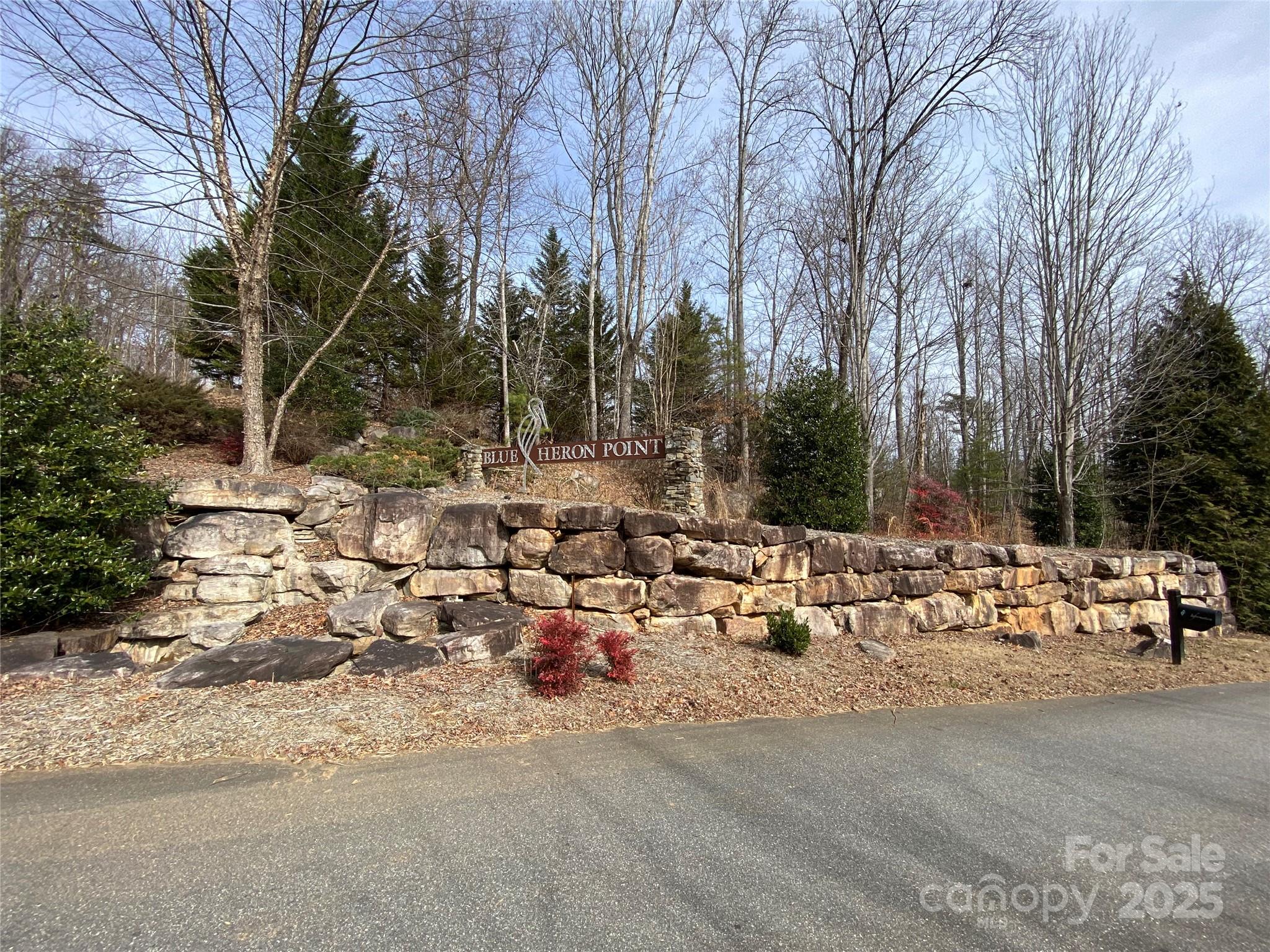 46 Holmstead Drive Lake Lure NC 28746