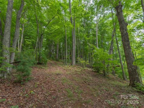 00 Bark Trail Waynesville NC 28786