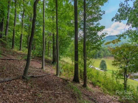 00 Bark Trail Waynesville NC 28786