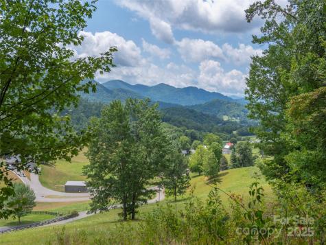 00 Bark Trail Waynesville NC 28786
