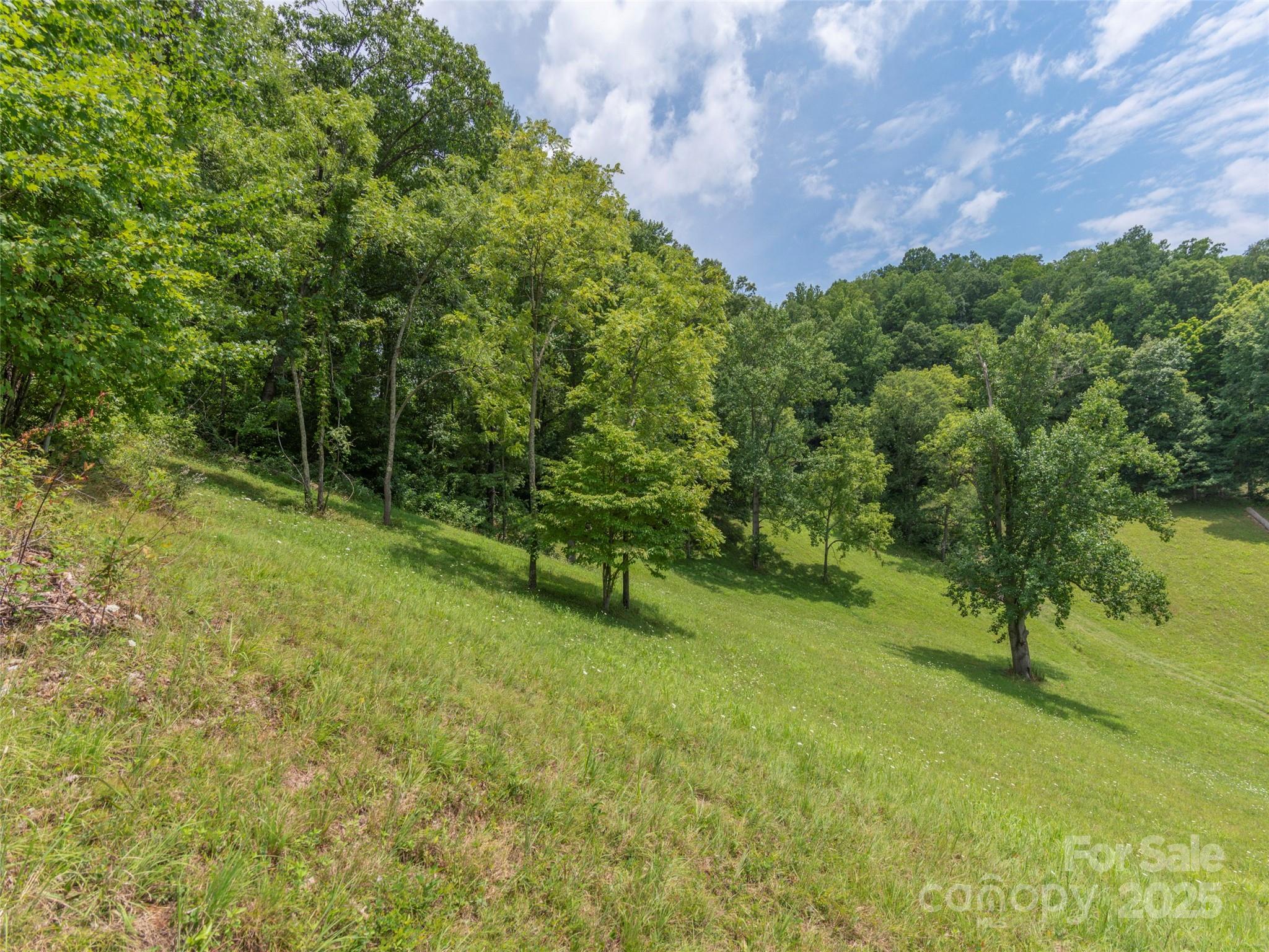 00 Bark Trail Waynesville NC 28786